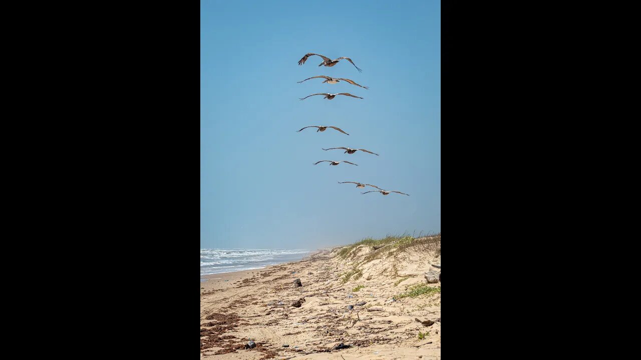 Where Should I Go? Corpus Christi TEXAS