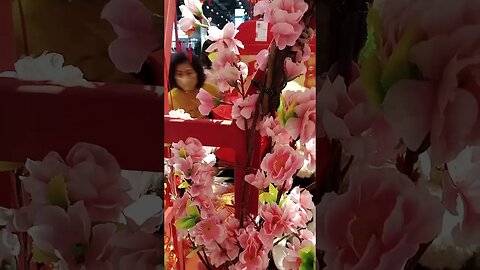 BEAUTIFUL CHINESE NEW YEAR