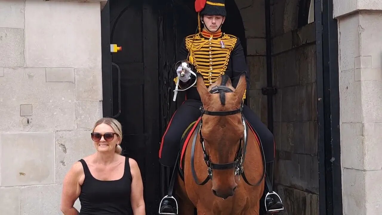 Get back tourist my ears are back I will do it #horseguardsparade
