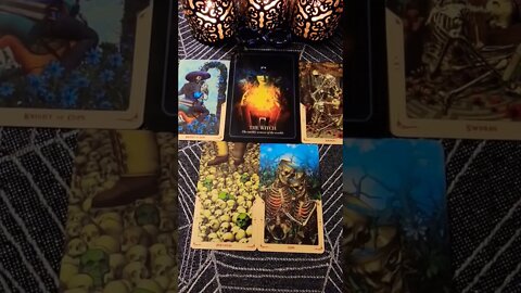 Calling In A Long Lost Love ❤️ #tarot #tarotreading #zodiac #astrology #horoscope #soulmate