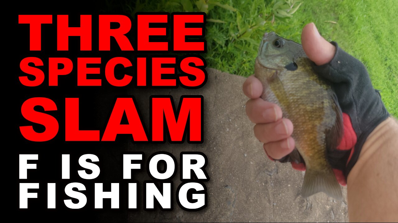 Three Species Slam