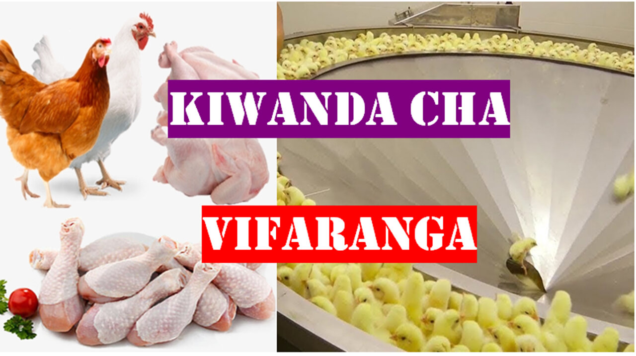 KIWANDA CHA KUTOTOLESHA VIFARANGA