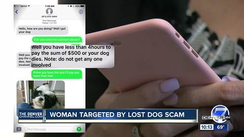 Scammers are threatening to kill missing dogs in Denver