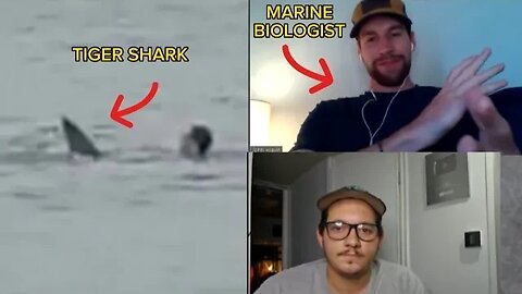 Discussing the Egypt Shark attack with a Marine Biologist: John Hlavin