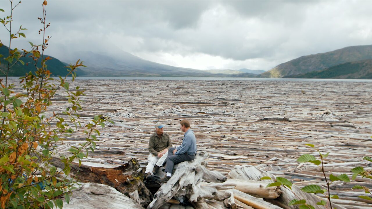 What Do Floating Log Mats Have to Do with Noah's Flood? - Dr. Steve Austin