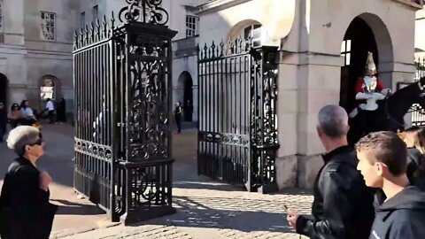 The Horse thought it was time to go #horseguardsparade