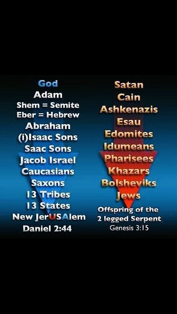 Choose Wisely America