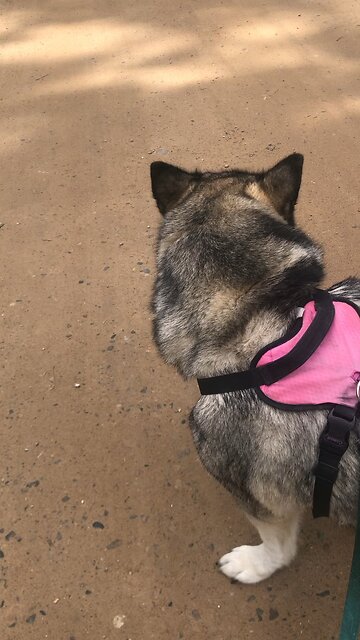 Saturday Sept 7, shabbat shalom: That you will keep loving others as long as life lasts.