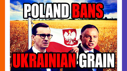 Poland Bans Grain Imports From Ukraine