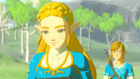 Breath of the Wild Master Mode 35