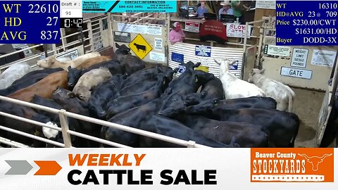 7/11/2023 - Beaver County Stockyards Livestock Auction