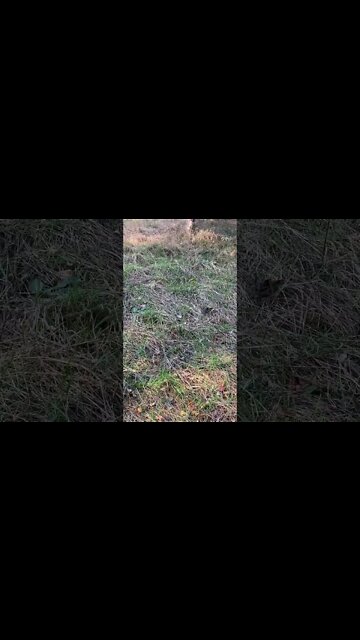 Train passengers are being urged to avoid travelling today as passengers face another day of…