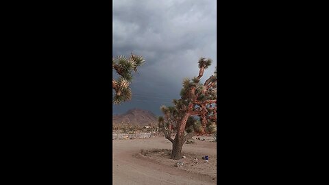 Arizona dust storm