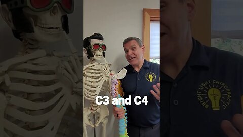 C3 and C4 affect the body.