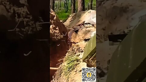 Ukraine War: Russian tank fires on its own soldiers filming in their trench. Like and follow!