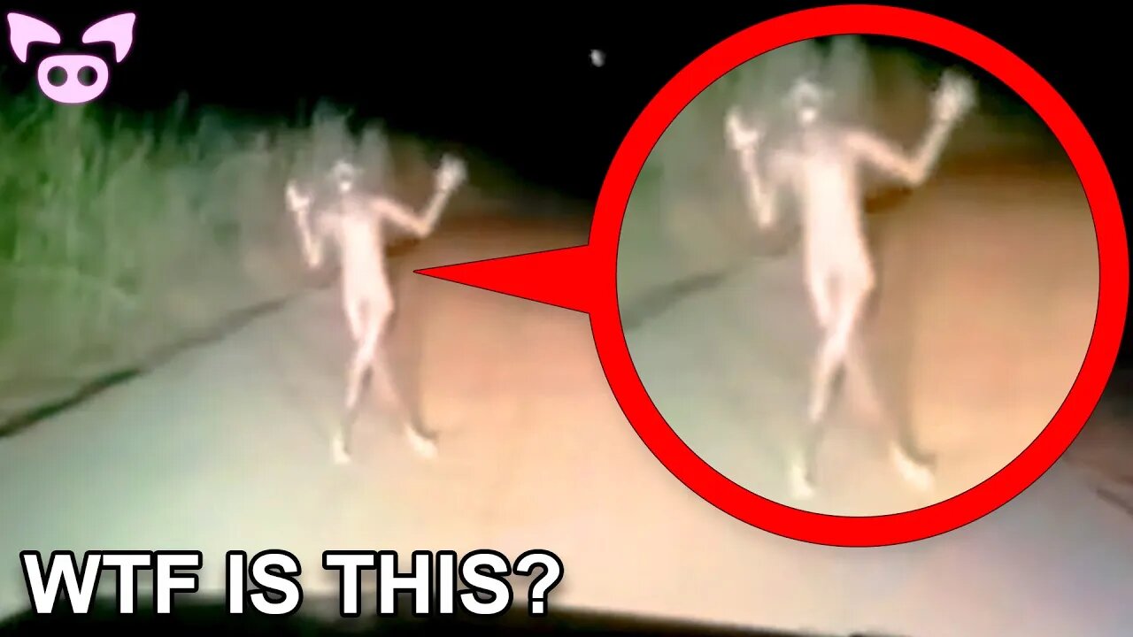 SCARY VIDEOS Filled With Terror