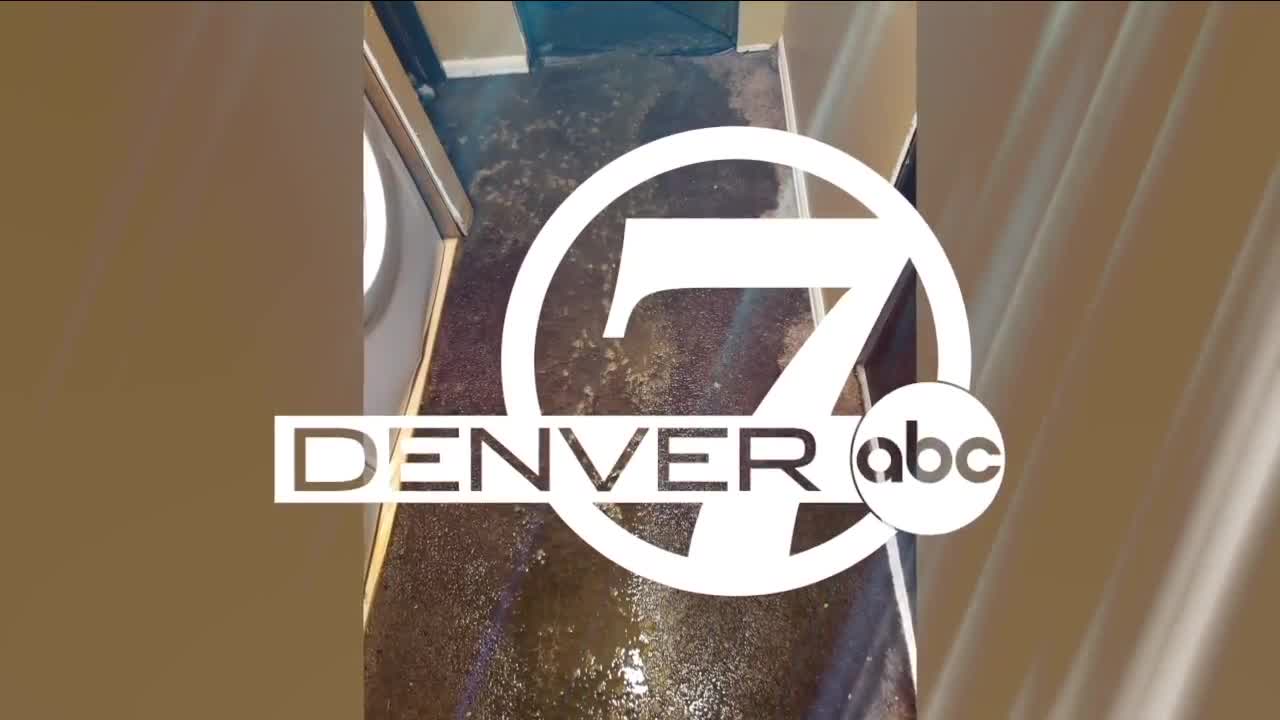 Denver7 News 10 PM | Monday, February 1