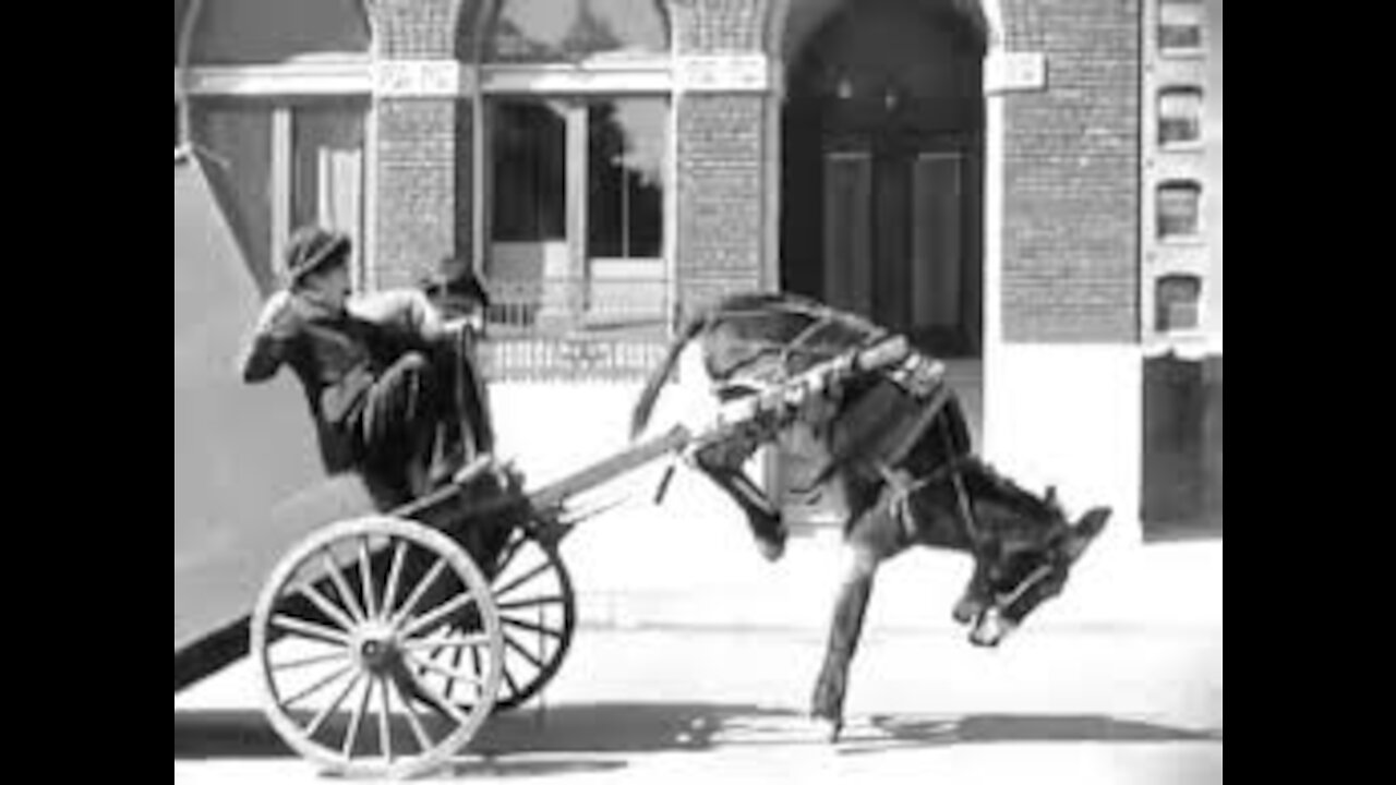 Donkey In Trouble Charlie Chaplin New Clip