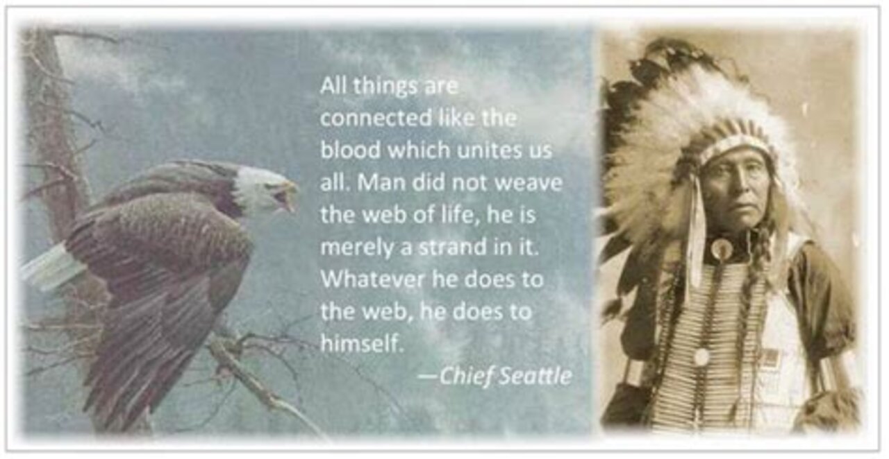 Chief Seattle's Reply to the Governments offer to buy the Remaining Salish Lands