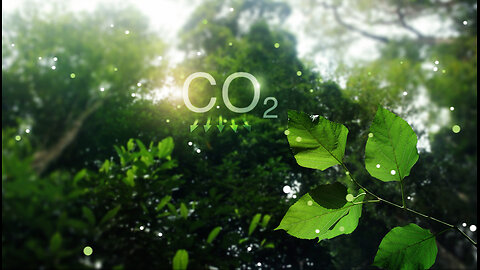 Plants Absorb 31% More CO2 than Thought – Video #153