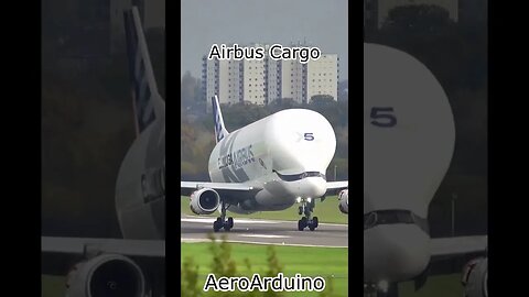 Airbus Made Funny Dolphine Cargo #Aircraft #Aviation #Fly #AeroArduino