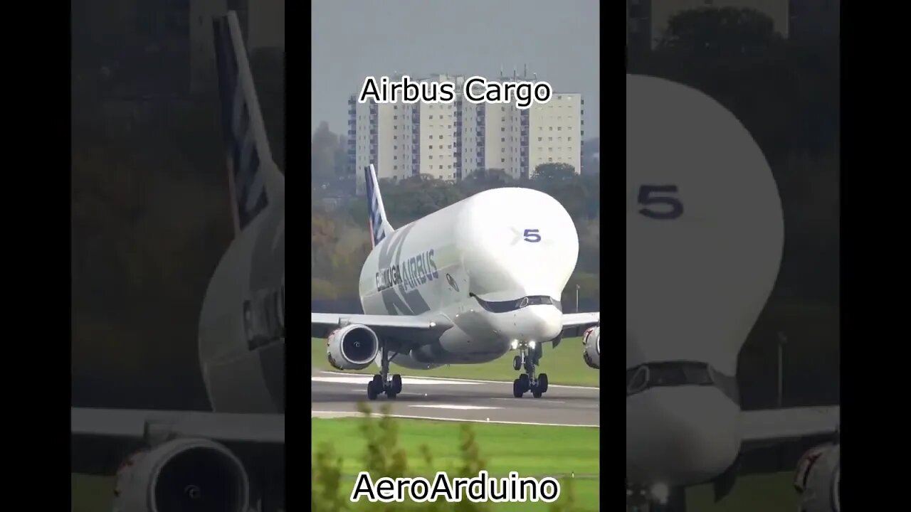 Airbus Made Funny Dolphine Cargo #Aircraft #Aviation #Fly #AeroArduino