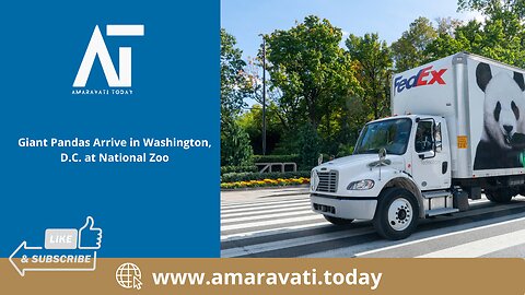 Giant Pandas Arrive in Washington DC at National Zoo | Amaravati Today