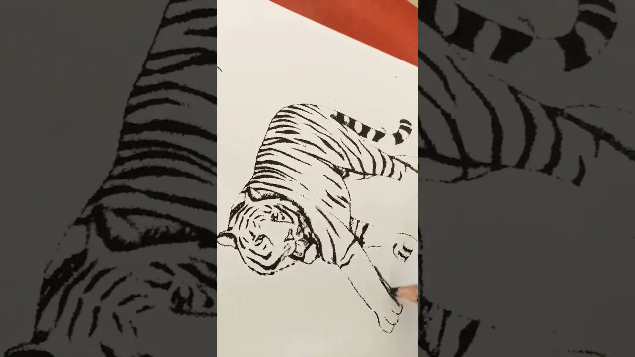 tiger panting #shots #youtubeshorts