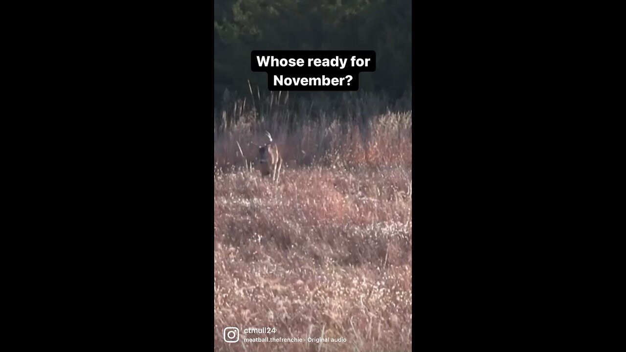 November can’t come soon enough!