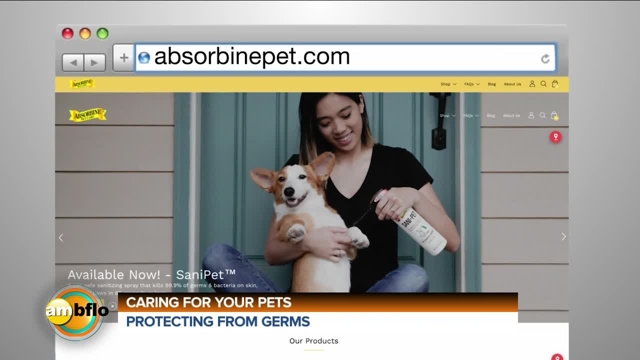 CARING FOR YOUR PETS