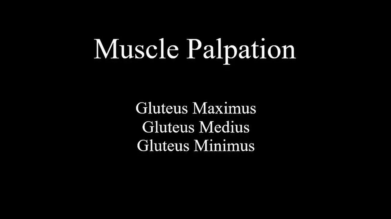 Muscle Palpation - Gluteal Group (Gluteus Maximus - Gluteus Medius - Gluteus Minimus)