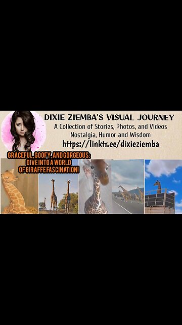 Graceful, Goofy, and Gorgeous: Dive into a World of Giraffe Fascination!