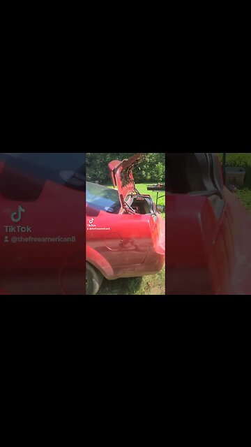 down home Saturday entertainment here at#thefreeamerican