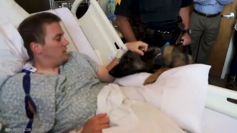 Animals Reunited With Owner After Years !68 3