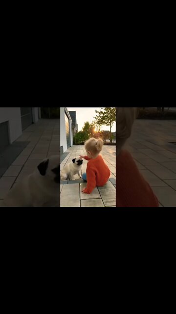 As wonderful as dogs can be, they are famous for missing the point.🐾🐶♥️ #pug #pugdog #puppy