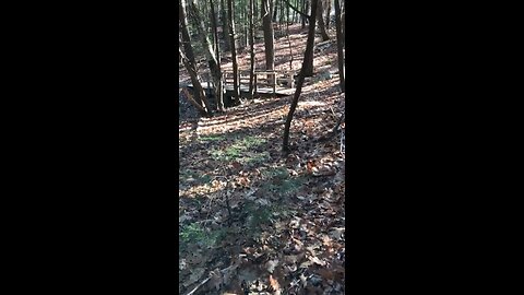 Trail video #10