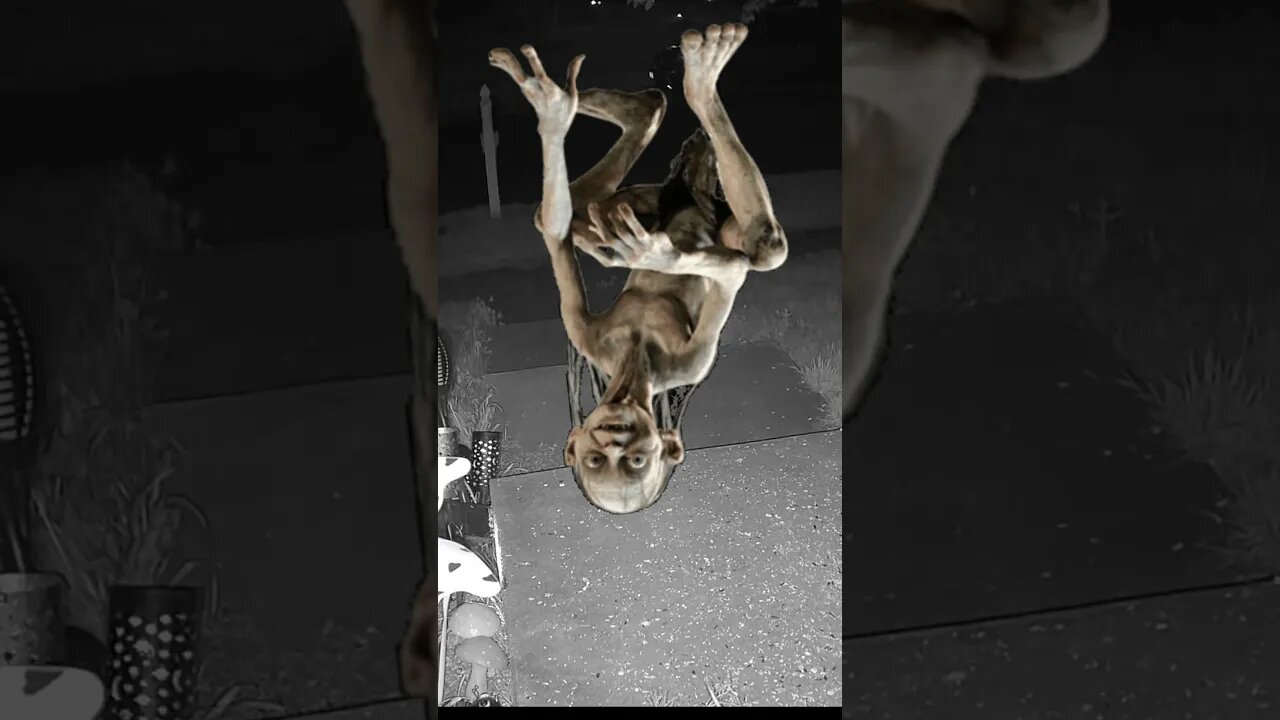 Gollum Visits #Shorts 😬