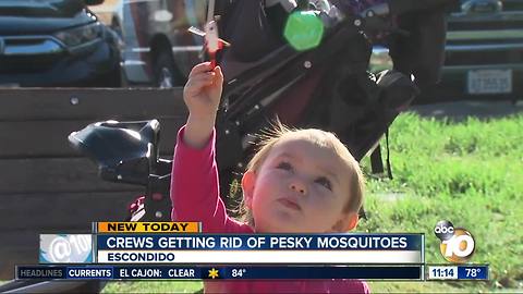 Crews spray for pesky mosquitoes