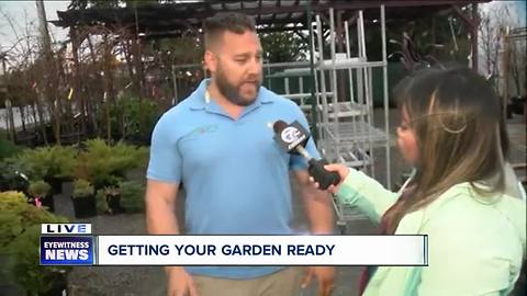Gardening trends for 2018: low maintenance