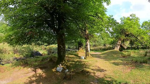 taking gear back to the car..timelapse GoPro . Dartmoor. 28th May 2023