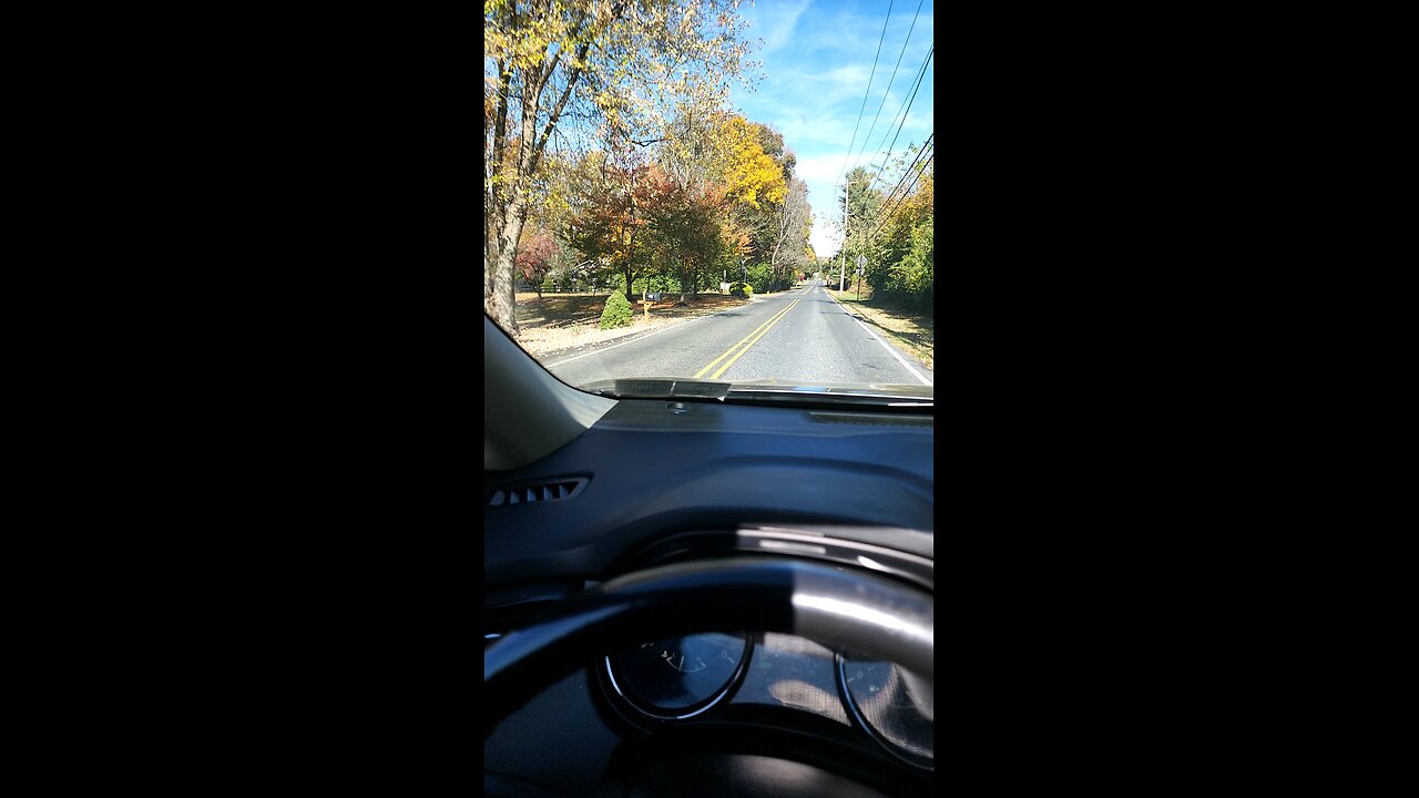 autumnal drive