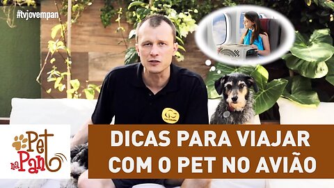 Pet Na Pan #29 - dicas para viajar com o pet no avião