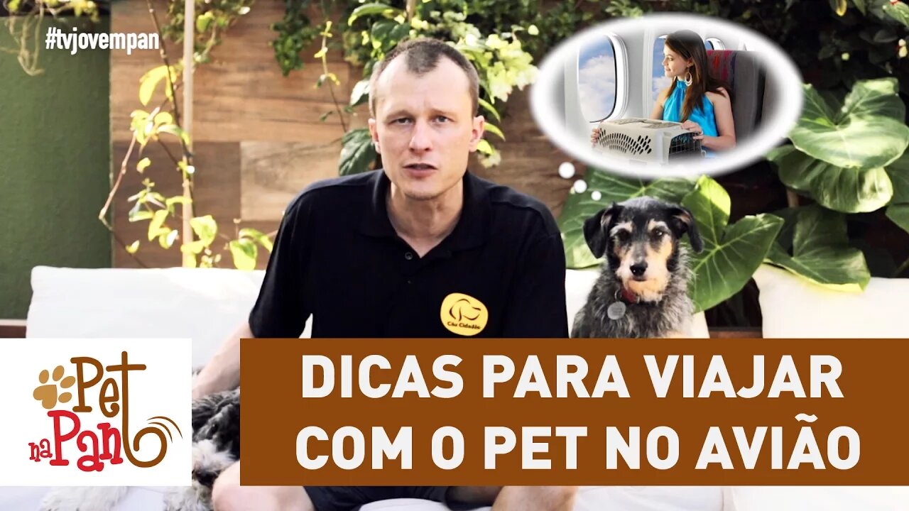 Pet Na Pan #29 - dicas para viajar com o pet no avião