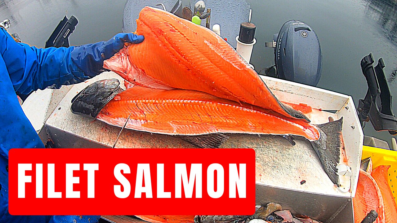 How to Filet Salmon