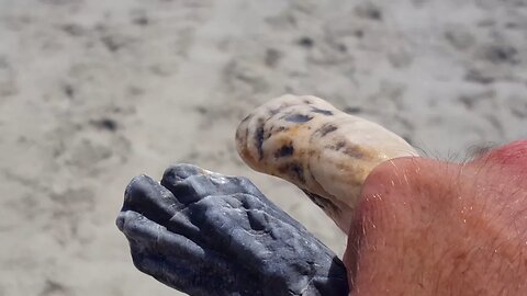 Metal Detecting For Silver Using Seashells