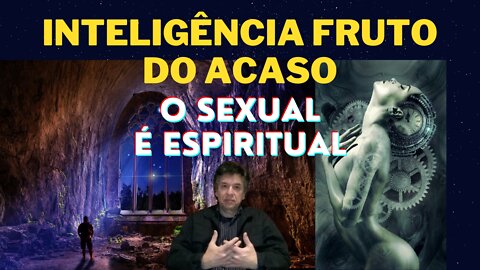 Inteligência Acaso Sexual Espiritual | Copas e Espadas