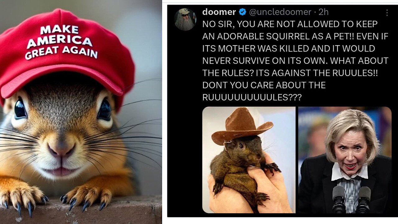 Peanut Squirrel Sacrificed on the Alter of the Big Pharma Cash Cow. Vet & Dr. Thorp Speak Out!