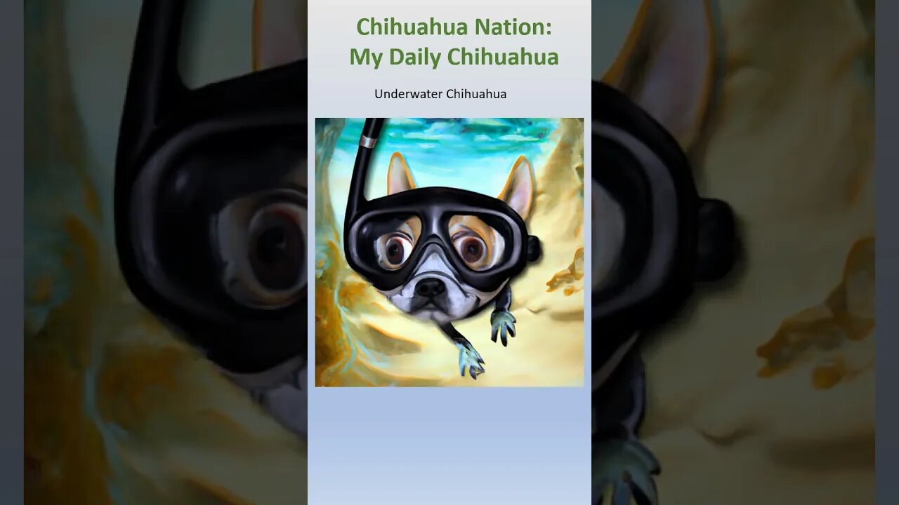 Underwater Chihuahua