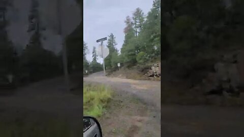 1 of 3...woods at Walker AZ