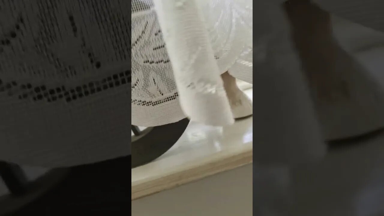 Nice early evening weather is still fairly sunny 🌞 here, and like 👍 and subscribe to my channel